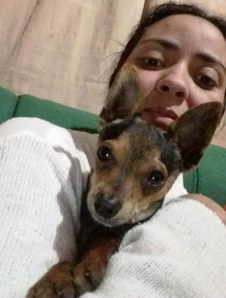 Confira os aniversariantes desse dia 04/11/25, por Dora Nunes