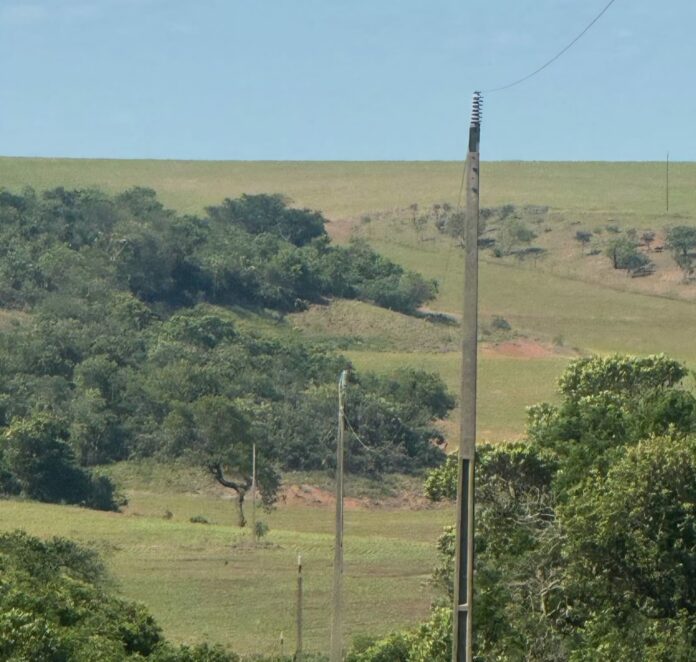 WhatsApp Image 2025-11-18 at 18.16.15