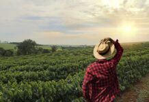 Template Colunistas – Yhuldes Giovani