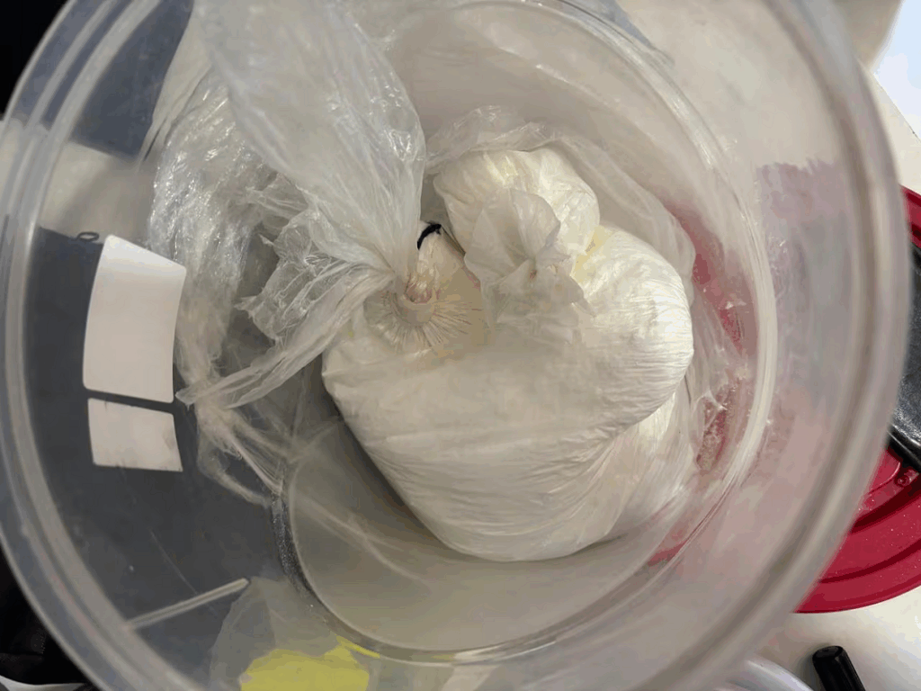 Más de 35 kilos de cocaína incautan en vivienda de Presidente Franco