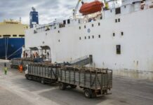 Template Colunistas – Yhuldes Giovani