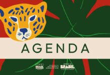 Template Colunistas – Yhuldes Giovani