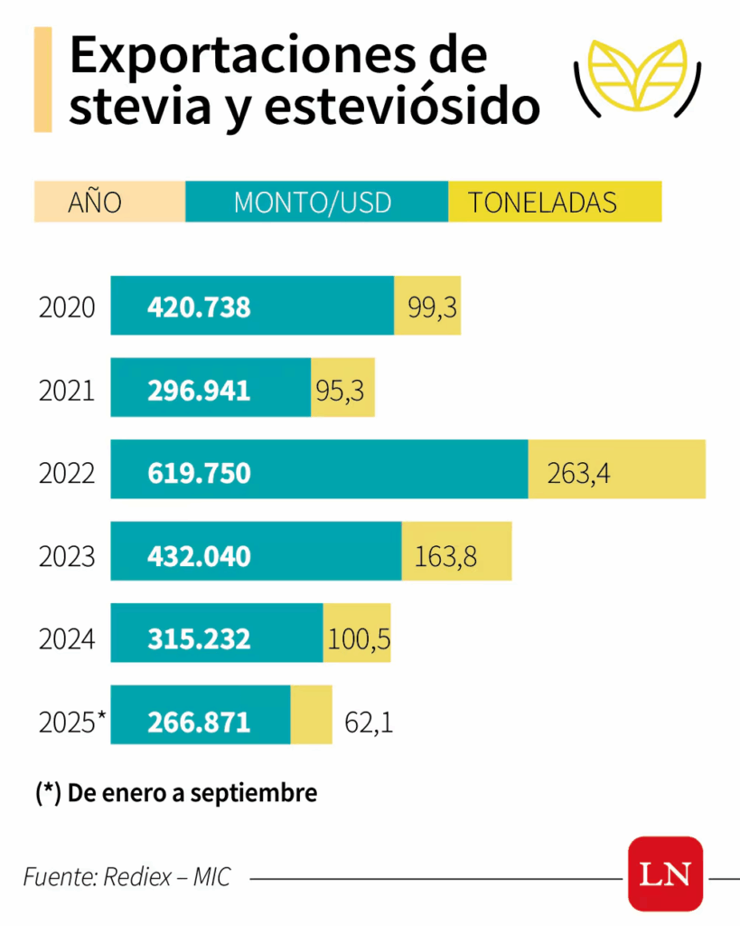 La stevia, un producto nativo del suelo guaraní, busca fortalecer su producción
