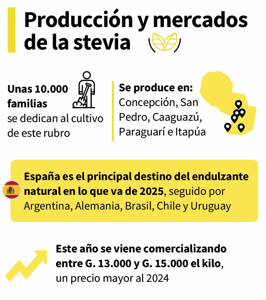 La stevia, un producto nativo del suelo guaraní, busca fortalecer su producción