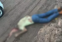 Template Colunistas – Yhuldes Giovani