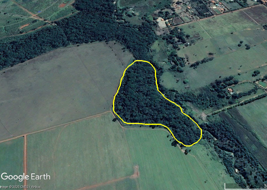 Ferramenta agrega valor de uso à restauração ecológica de matas ciliares no Cerrado Ferramenta agrega valor de uso à restauração ecológica de matas ciliares no Cerrado