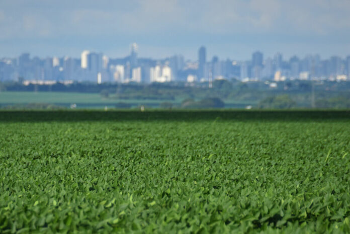 03-1224-0068-soja-pr