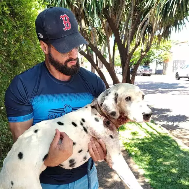 Campanha "Dezembro Verde" alerta para os maus-tratos a animais no fim do ano