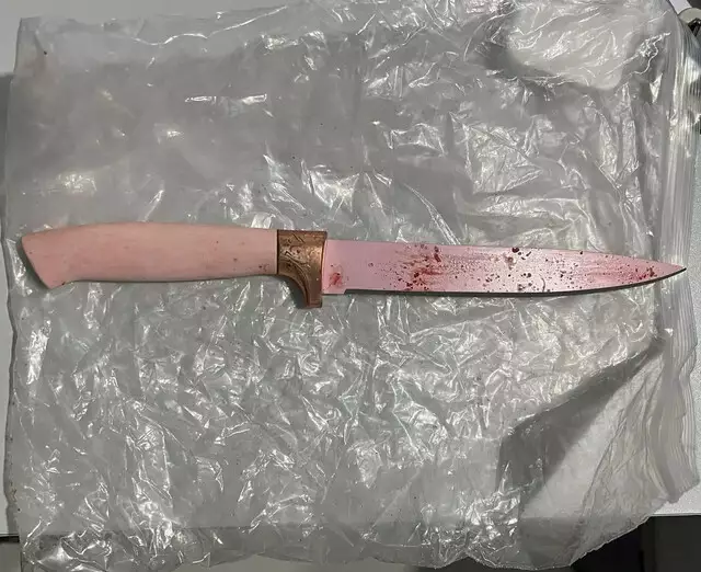 Mulher é morta pelo ex-marido em Ribas e MS registra o 39º feminicídio de 2025