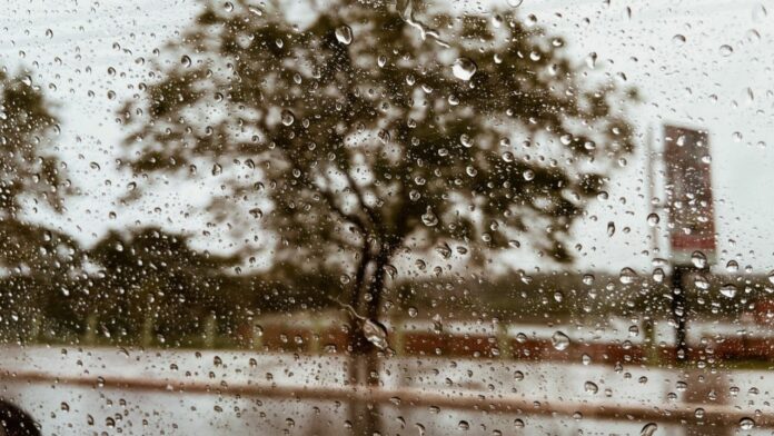 Chuva-Ilustrativa-Nathalia-Alcantara-2