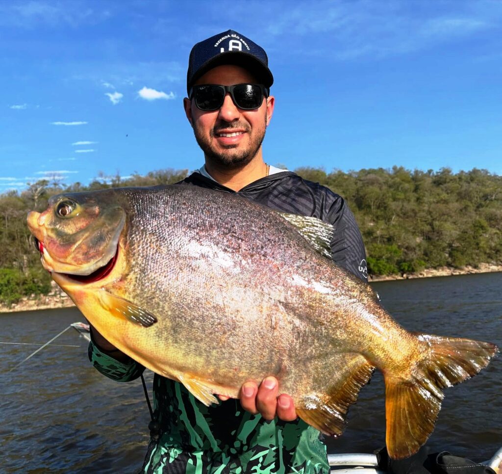 Saiba quem faz aniversário hoje, dia 20/12/25, por Dora Nunes Saiba quem faz aniversário hoje, dia 20/12/25, por Dora Nunes