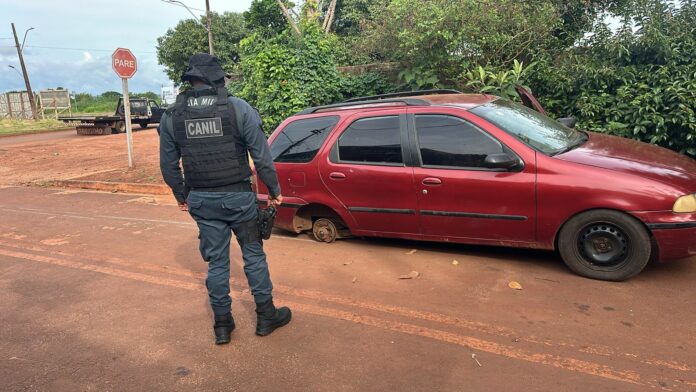 WhatsApp Image 2025-12-12 at 19.06.36