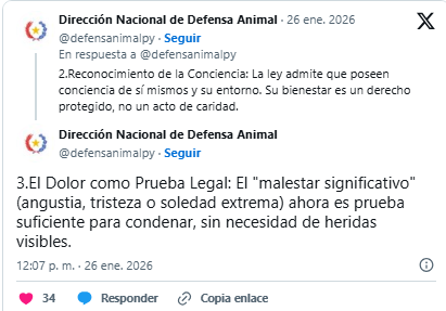 Mediante ley, Paraguay declara a los animales como seres sintientes Mediante ley, Paraguay declara a los animales como seres sintientes