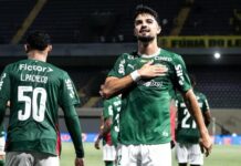 Template Colunistas – Yhuldes Giovani