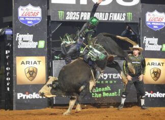 Category "Esportes" com ad especifico contratado