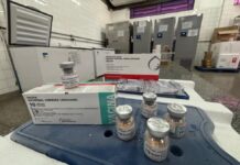 Template Colunistas – Yhuldes Giovani