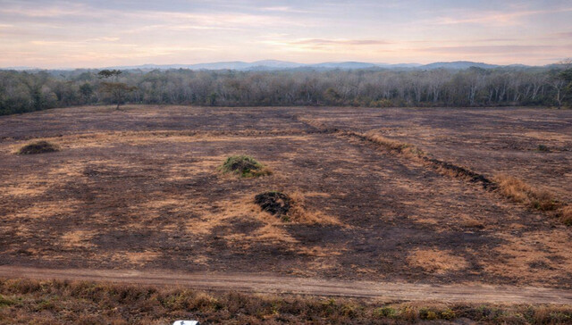 Em três dias, MP apura danos ambientais em quase 500 hectares Em três dias, MP apura danos ambientais em quase 500 hectares