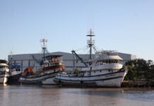 Template Colunistas – Yhuldes Giovani