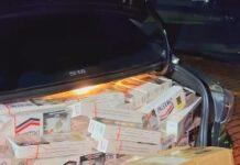 Template Colunistas – Yhuldes Giovani