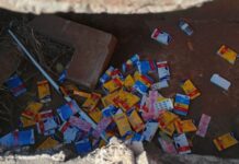 Template Colunistas – Yhuldes Giovani