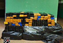 Template Colunistas – Yhuldes Giovani