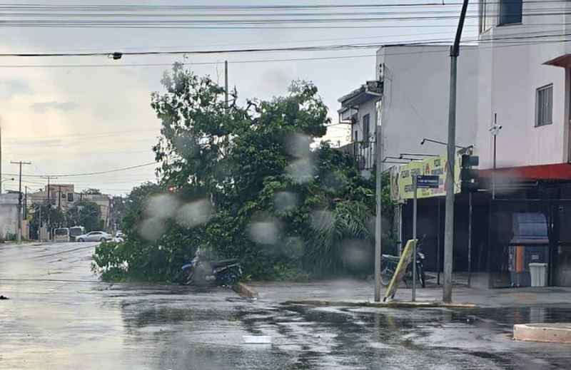Ponta Porã: Chuvas com vento forte atinge a cidade neste sábado (10)