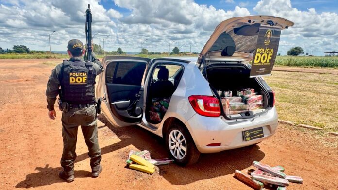 WhatsApp Image 2026-01-30 at 09.33.04