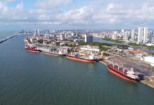 Template Colunistas – Yhuldes Giovani