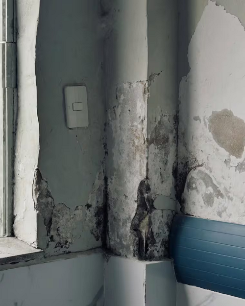 El peor momento del IPS: desidia y abandono, con las eternas promesas de solución