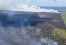 Template Colunistas – Yhuldes Giovani