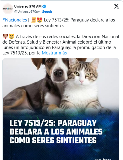 Mediante ley, Paraguay declara a los animales como seres sintientes Mediante ley, Paraguay declara a los animales como seres sintientes