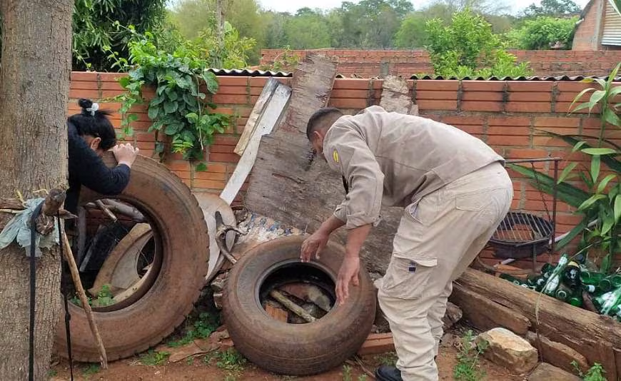 Ante aumento de casos de dengue, el PoderJudicial adopta acciones de prevención