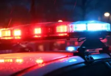 Template Colunistas – Yhuldes Giovani