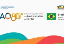 Template Colunistas – Yhuldes Giovani