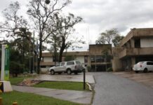 Template Colunistas – Yhuldes Giovani