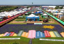 Template Colunistas – Yhuldes Giovani