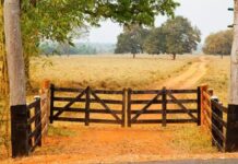 Template Colunistas – Yhuldes Giovani