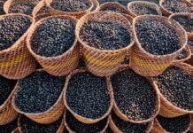 Template Colunistas – Yhuldes Giovani