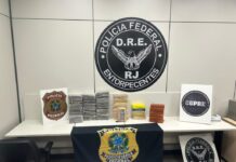 Template Colunistas – Yhuldes Giovani