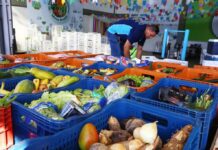 Template Colunistas – Yhuldes Giovani