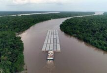 Template Colunistas – Yhuldes Giovani