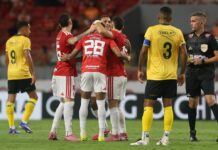 Template Colunistas – Yhuldes Giovani