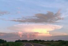 Template Colunistas – Yhuldes Giovani