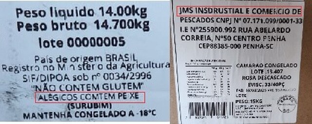 Erros de português revelam carga de 1,3 tonelada de pescado ilegal