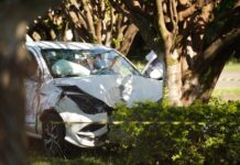 Template Colunistas – Yhuldes Giovani