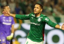 Template Colunistas – Yhuldes Giovani