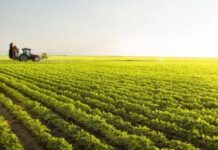 Template Colunistas – Yhuldes Giovani