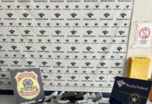 Template Colunistas – Yhuldes Giovani