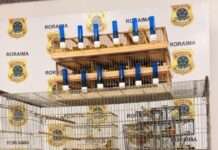 Template Colunistas – Yhuldes Giovani