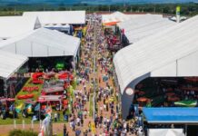 Template Colunistas – Yhuldes Giovani